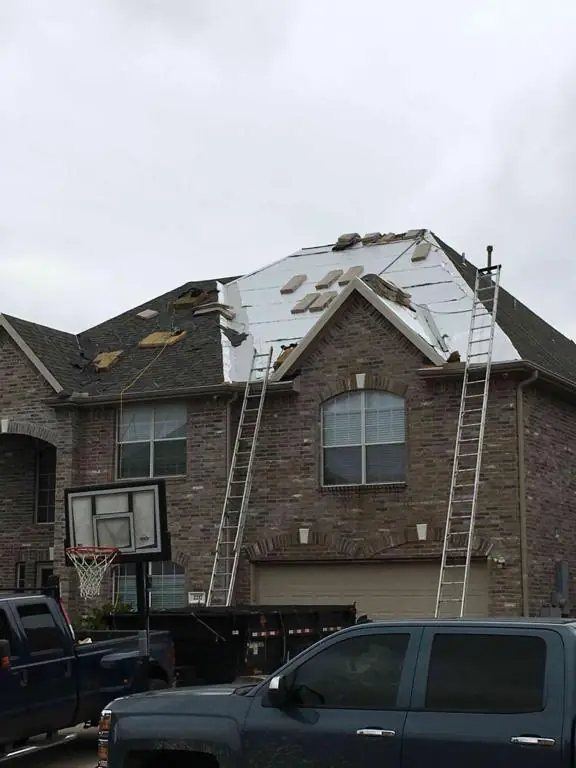 Roof tear off in progress with synthetic underlayment down, ladders up and a dumpster trailer in the drive
